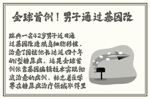 欧美视频在线高清在线观看
